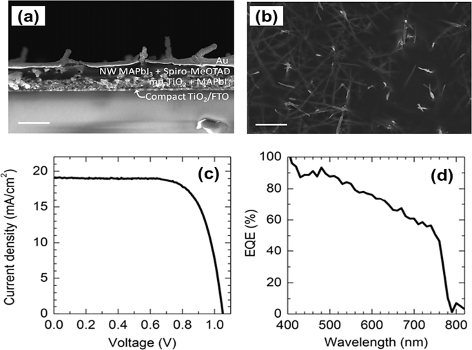 Fig. 6: Application of 1D morphological MHP NWs in solar cells.