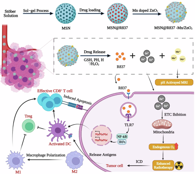 A multifunctional mesoporous silica drug delivery nanosystem that ameliorates tumor hypoxia and increases radiotherapy efficacy