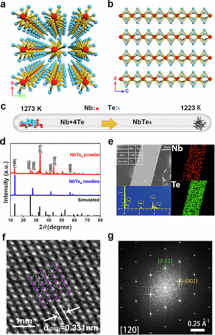 Intrinsically anisotropic 1D NbTe4 for self-powered polarization-sensitive photodetection