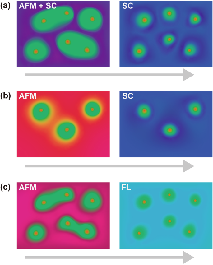 Fig. 5: Schematic illustration of the ground states in different doping cases.