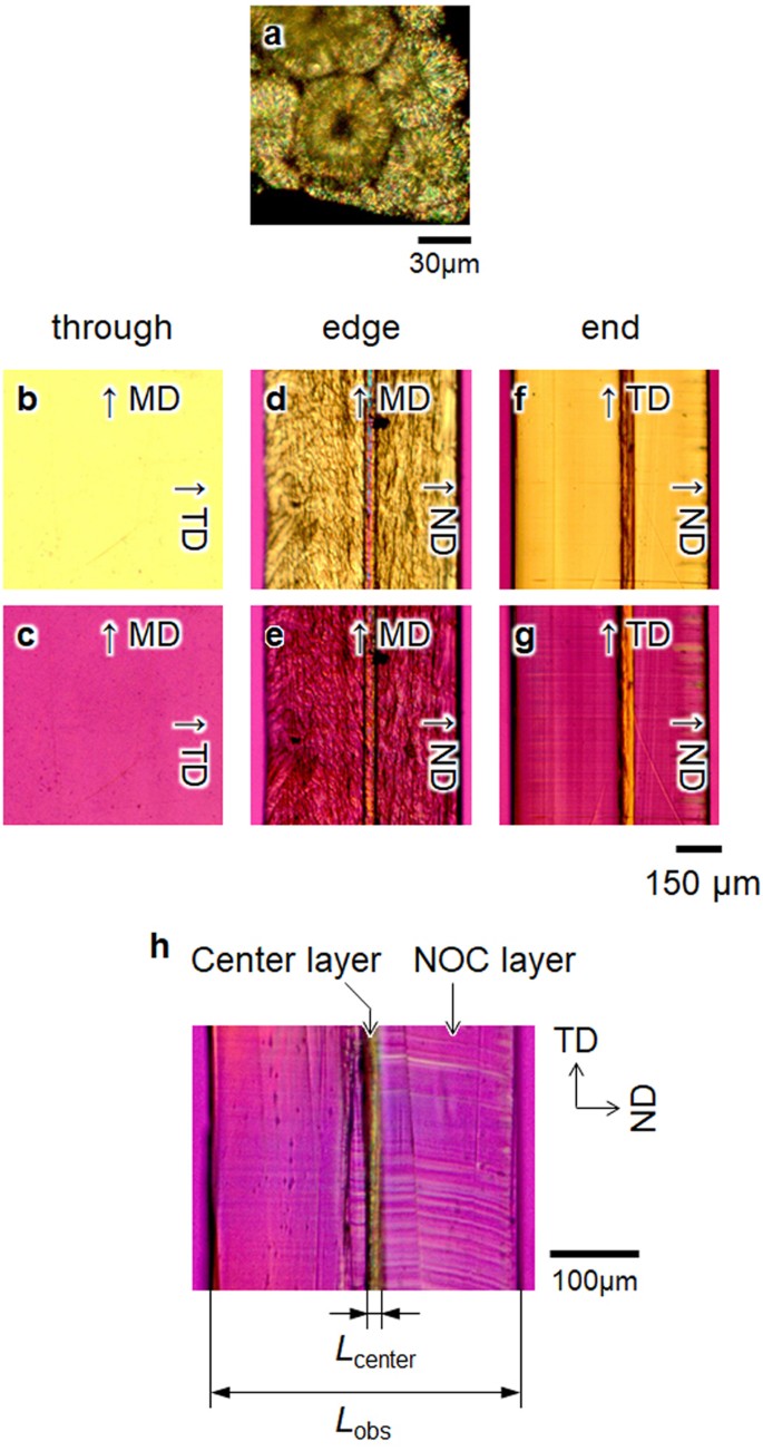 3d Structure Of Nano Oriented Crystals Of Poly Ethylene Terephthalate Formed By Elongational Crystallization From The Melt Polymer Journal