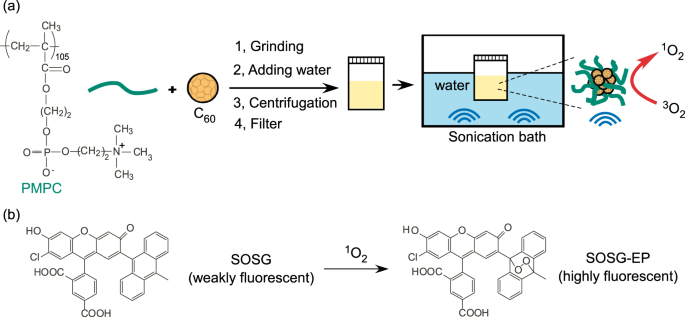 Singlet oxygen generation by sonication using a water-soluble fullerene  (C60) complex: a potential application for sonodynamic therapy | Polymer  Journal