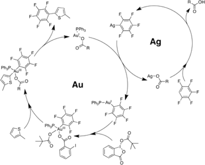 scheme 13