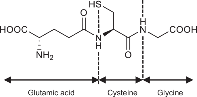 Development of a temperature-responsive gel formulation containing GGsTop®  for treating stomatitis, a side effect of anticancer drug therapy