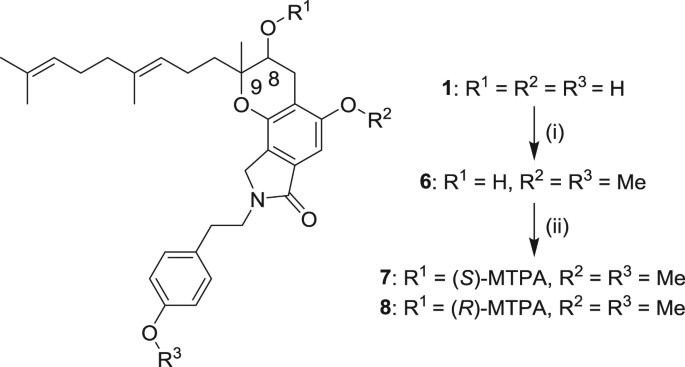 scheme 1