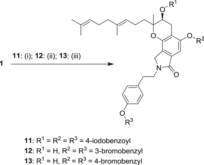 scheme 3