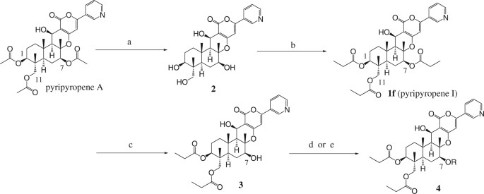 scheme 1