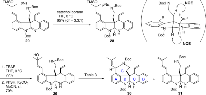 scheme 4