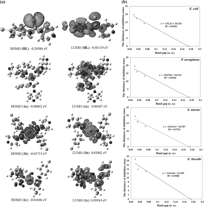 Design And Fabrication Of Novel Thiourea Coordination Compounds As Potent Inhibitors Of Bacterial Growth The Journal Of Antibiotics