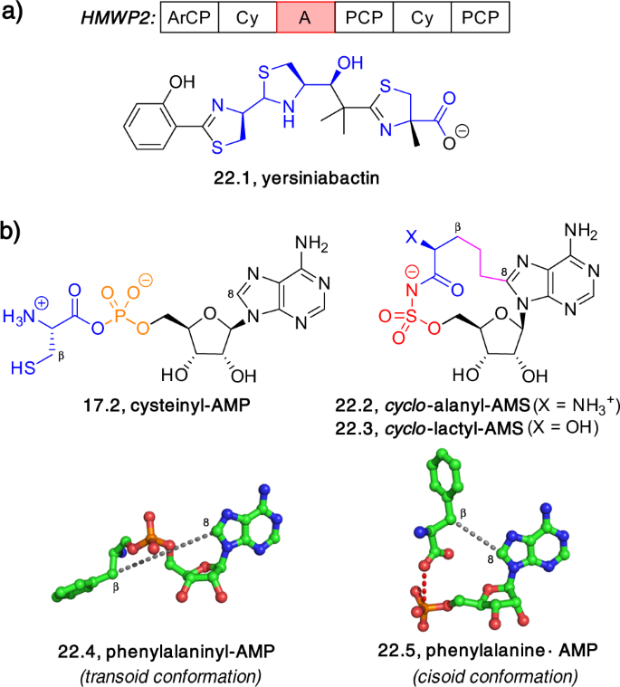 figure 22