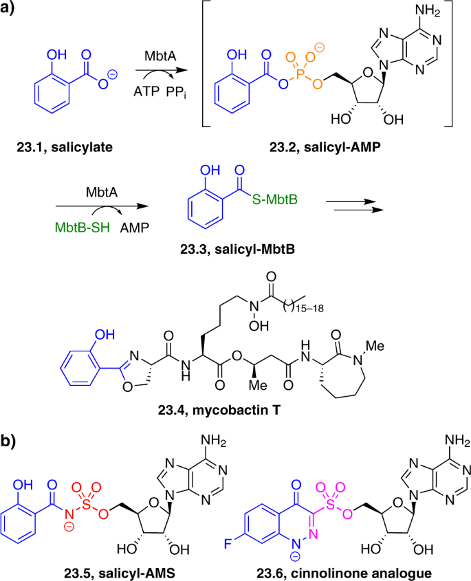 figure 23