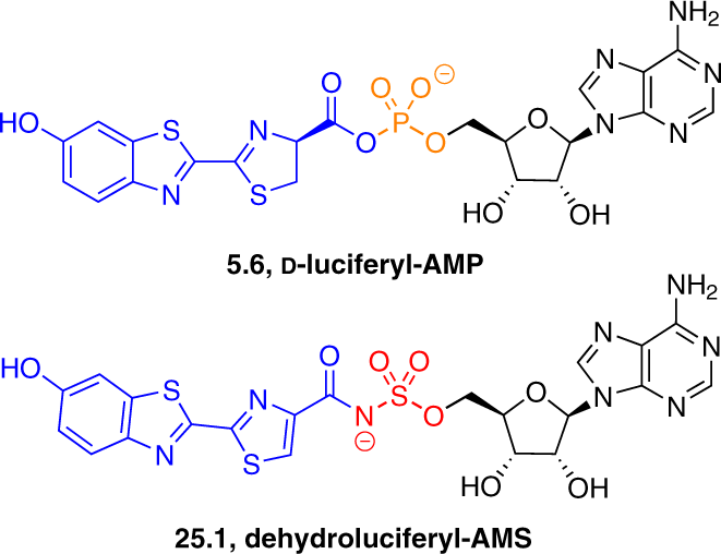 figure 25