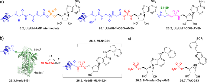 figure 26