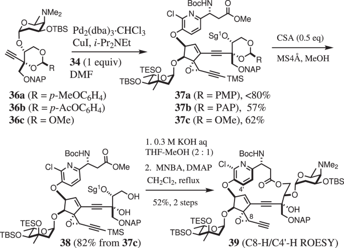 scheme 8