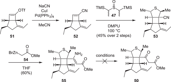 scheme 12