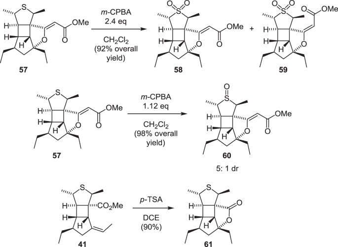 scheme 14