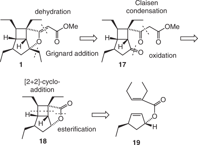 scheme 4