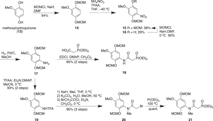 scheme 2