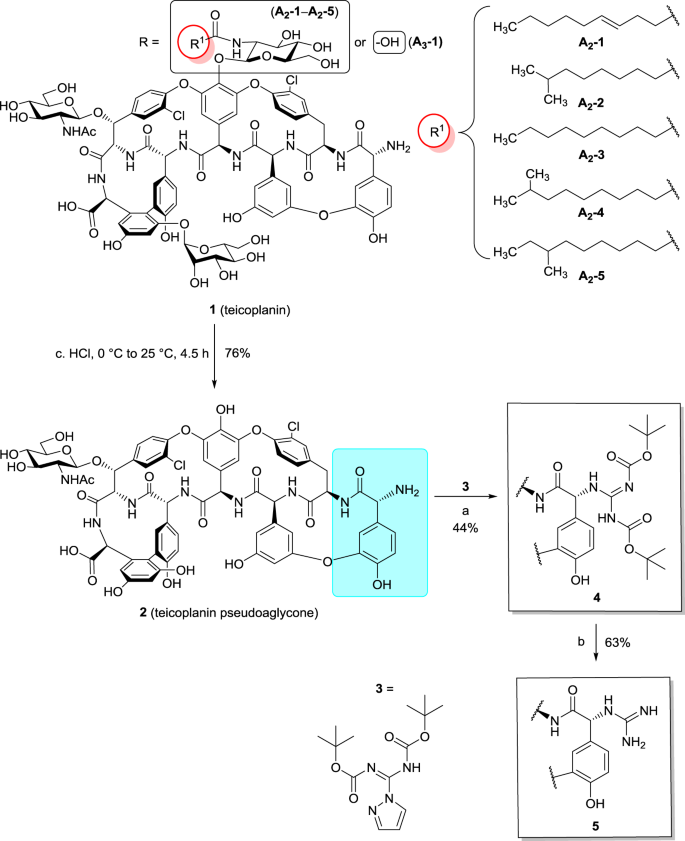 N Terminal Guanidine Derivatives Of Teicoplanin Antibiotics Strongly Active Against Glycopeptide Resistant Enterococcus Faecium The Journal Of Antibiotics