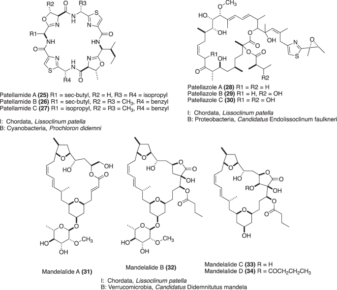 Highlights Of Marine Natural Products Having Parallel Scaffolds Found From Marine Derived Bacteria Sponges And Tunicates The Journal Of Antibiotics