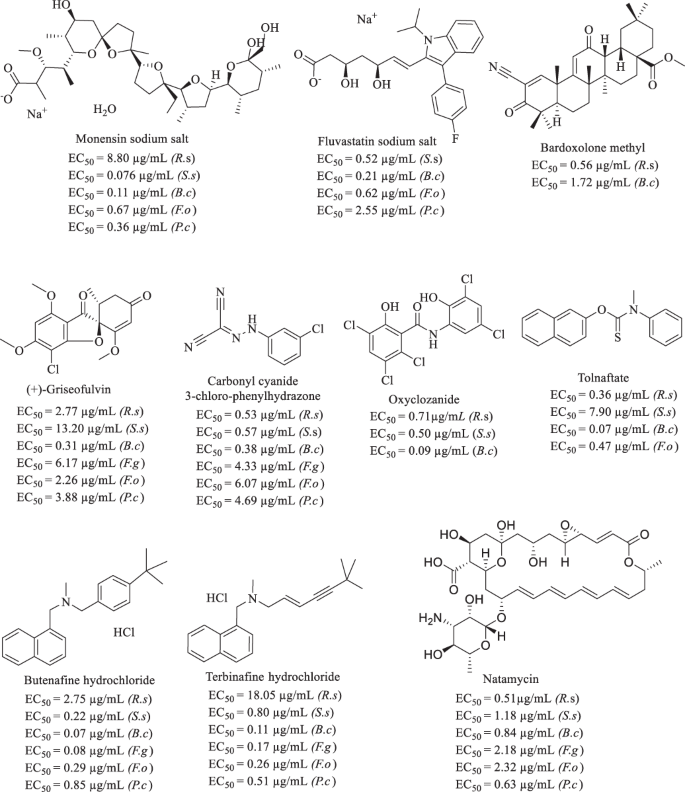 figure 11