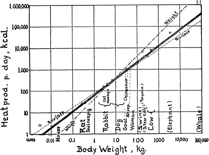 The contribution of Swiss scientists to the assessment of energy metabolism  | European Journal of Clinical Nutrition