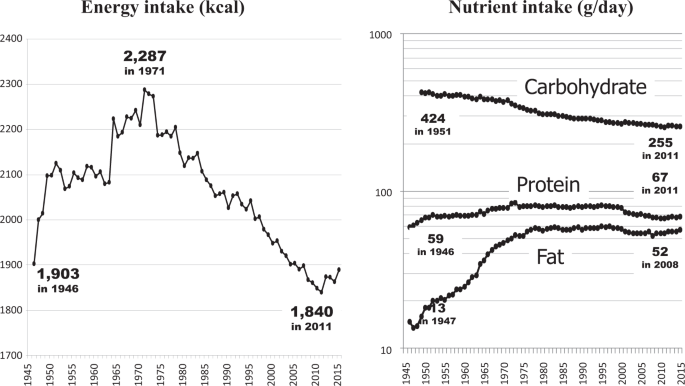 Diversity emotional swan Why has Japan become the world's most long-lived country: insights from a  food and nutrition perspective | European Journal of Clinical Nutrition