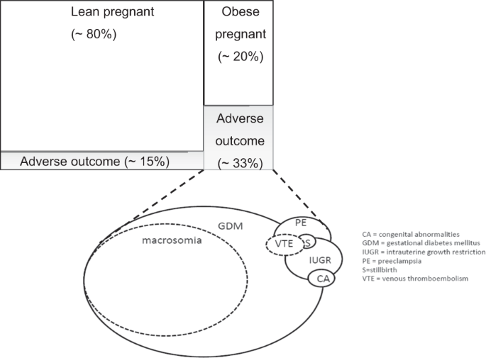 Adipose Tissue Function In Healthy Pregnancy Gestational Diabetes Mellitus And Pre Eclampsia European Journal Of Clinical Nutrition