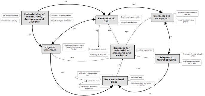 Fig. 2: Feedback loop diagram illustrating interlinking themes of the views and experiences of malnutrition, sarcopenia, and cachexia in older adults with cancer.