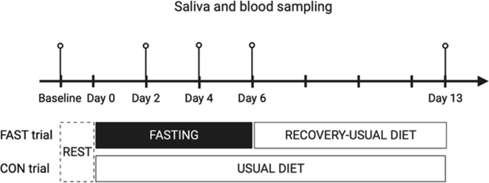 a case study of overfeeding 3 different diets figure 1