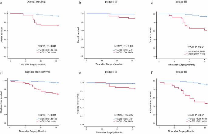 Fig. 1: Prognosis of different mCXI subgroups.