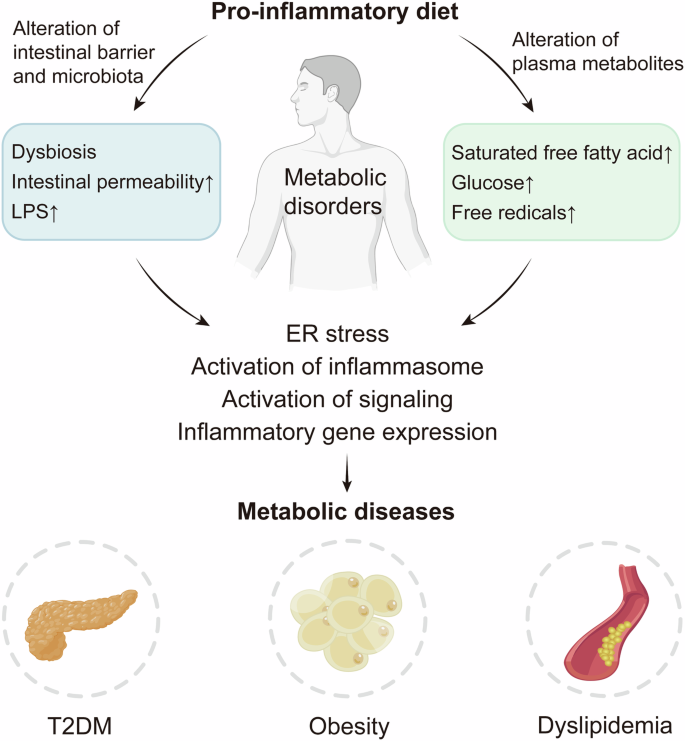 The role of dietary inflammatory index in metabolic diseases: the 