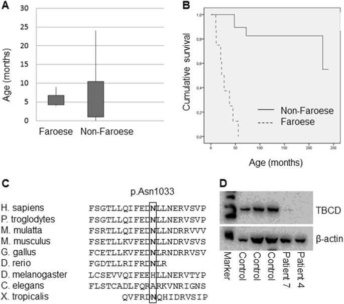 A Faroese Founder Variant In Tbcd Causes Early Onset Progressive Encephalopathy With A Homogenous Clinical Course European Journal Of Human Genetics