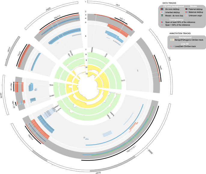 Fig. 1: Circular plot of recurrent CNVs implicated in NDDs identified in MoBa trios.