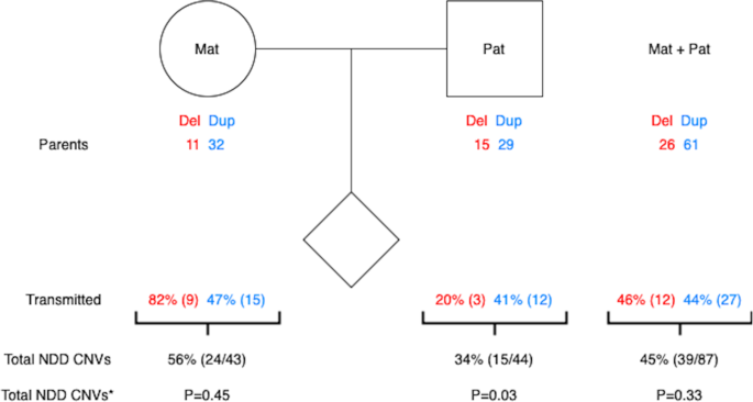 Fig. 3: Transmission of recurrent CNVs implicated in NDDs identified in MoBa.