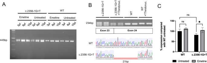 CRISPR-Cas9 correction of OPA1 c.1334G>A: p.R445H restores mitochondrial  homeostasis in dominant optic atrophy patient-derived iPSCs: Molecular  Therapy - Nucleic Acids