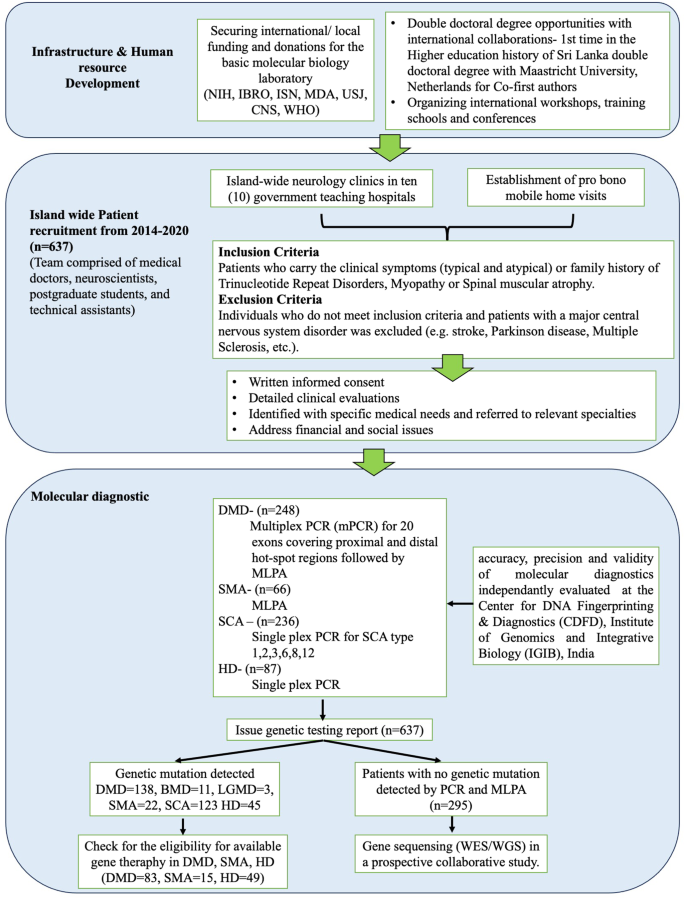 Diagnostic outcome of pro bono neurogenetic diagnostic service in 