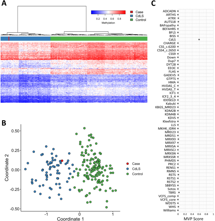 Fig. 1: Confirmed episignature for our case.