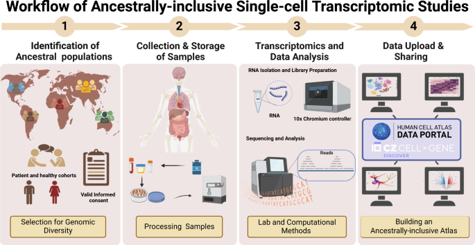Fig. 1: Workflow for ancestrally diverse single-cell transcriptomic and spatial omics studies in low- and middle-income countries.