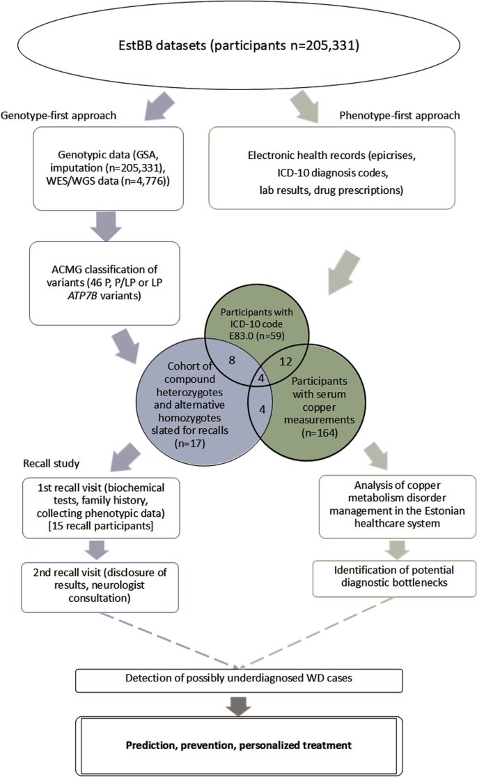 Fig. 1: Diagram of study flow.