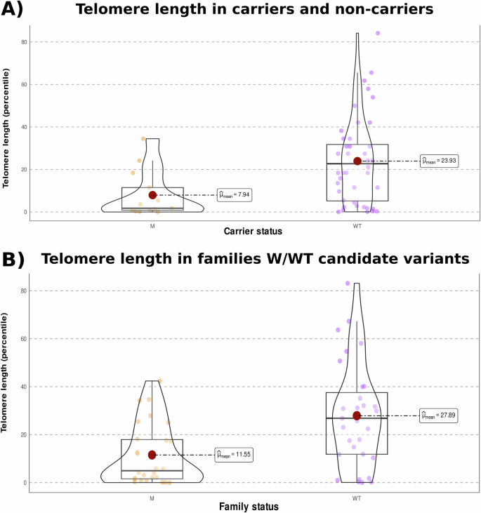 Fig. 4: Violin plots showing the distribution of telomere length (TL).