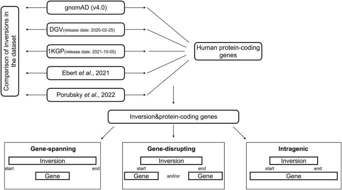Fig. 1: Overview of the datasets and the study design.
