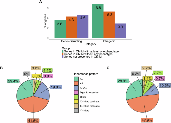 Fig. 4: Features of protein-coding genes overlapping with gene-disrupting and intragenic inversions.
