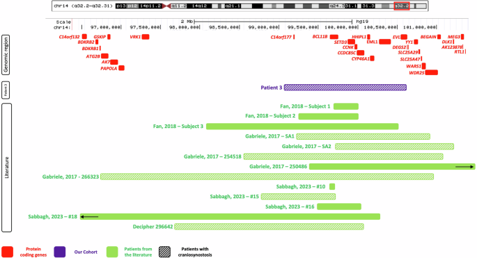 Fig. 4: Deletions encompassing BCL11B.