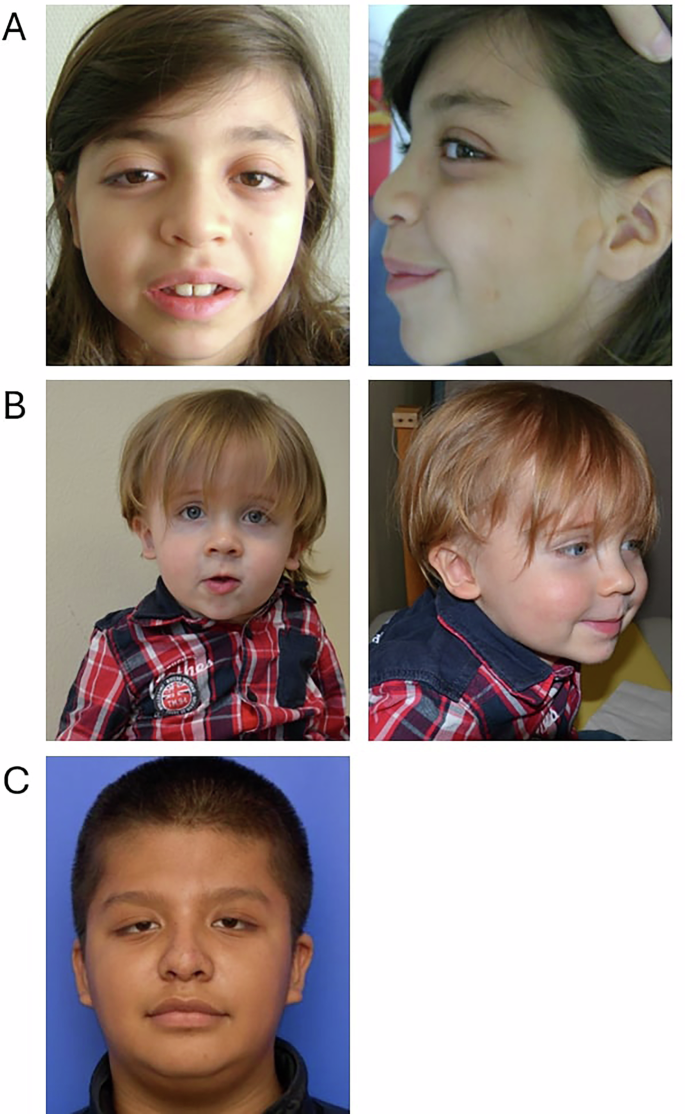 Fig. 1: Photographs of individuals 1, 2 and 6.