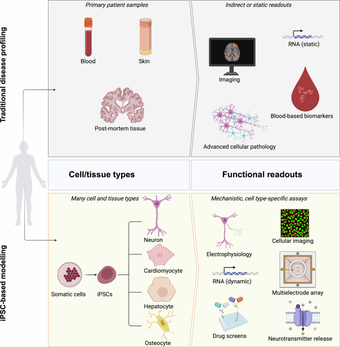 Fig. 1: Advantages of iPSCs as compared to traditional modelling systems in modelling complex diseases.
