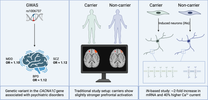 Fig. 3: Effect sizes of complex disease variants across different biological scales.