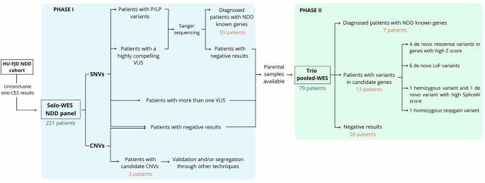Fig. 1: Schematic overview of the diagnostic workflow followed in this study.