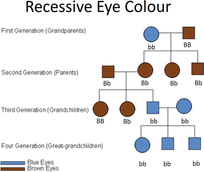 What colour are your eyes? Teaching the genetics of eye colour & colour  vision. Edridge Green Lecture RCOphth Annual Congress Glasgow May 2019 | Eye