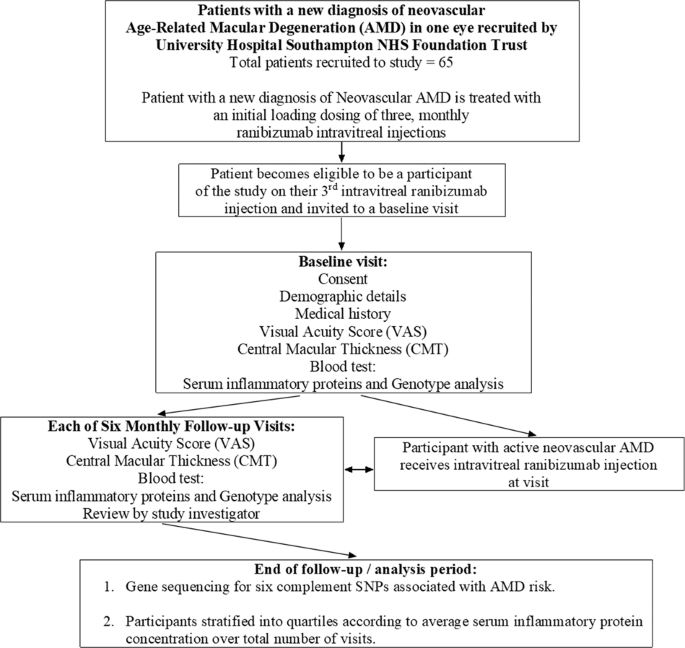 Fig. 1: A flowchart diagram summarising the investigation pathway of 65 study participants with a new diagnosis of neovascular age-related macular degeneration (AMD).